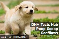 Dog DNA Tests Reveal Owners Who Don't Scoop Poop