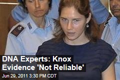 Amanda Knox Murder Trial: DNA Experts Contest Evidence