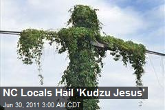 NC Locals Hail &#39;Kudzu Jesus&#39;