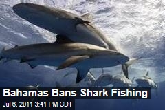 Bahamas Bans Shark Fishing