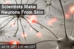 Scientists Make Neurons From Skin