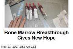 Bone Marrow Breakthrough Gives New Hope