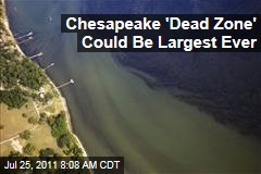 Chesapeake Bay 'Dead Zone' Could Become Largest Ever