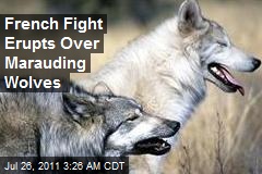 French Row Erupts Over Marauding Wolves