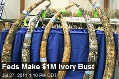 Feds Make $1M Ivory Bust