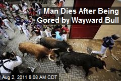 Man Dies After Being Gored by Wayward Bull
