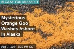 Mysterious Orange Goo Washes Ashore in Alaska