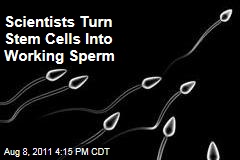 Scientists Turn Embryonic Stem Cells Into Working Sperm Cells