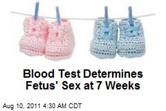 Blood Test Determines Fetus&#39; Sex at 7 Weeks