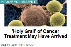 &#39;Holy Grail&#39; of Cancer Treatment May Have Arrived