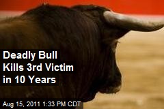 Deadly Bull Kills 3rd Victim in 10 Years