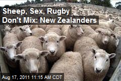 Sheep, Sex, Rugby Don&#39;t Mix: New Zealanders