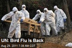 UN: Bird Flu Is Back