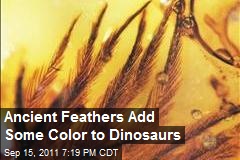 Ancient Feathers Add Some Color to Dinosaurs