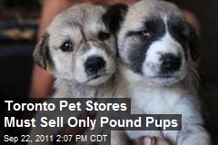 Toronto Pet Stores Must Sell Only Pound Pups