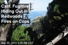 Calif. Fugitive Hiding Out in Redwoods Fires on Cops