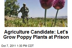 Agriculture Candidate: Let&#39;s Grow Poppy Plants at Prison