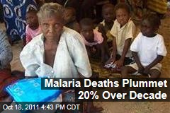 Malaria Deaths Plummet 20% Over Last Decade: World Health Organization