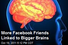 More Facebook Friends Linked to Bigger Brains