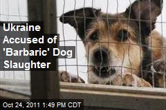 Ukraine Accused of &#39;Barbaric&#39; Dog Slaughter
