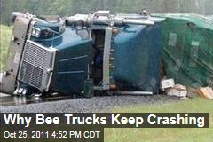 Epidemic Leads to More Bee Trucking, Crashes