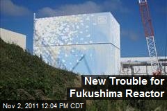 New Trouble for Fukushima Reactor