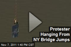 Protester Hanging From NY Bridge Jumps