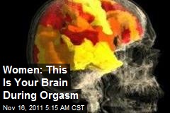 Women: This Is Your Brain During Orgasm