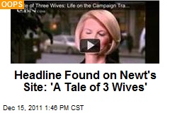 Headline Found on Newt&#39;s Site: &#39;A Tale of 3 Wives&#39;