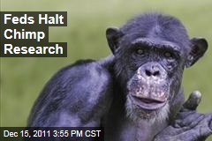 National Institutes of Health Halt Chimpanzee Research