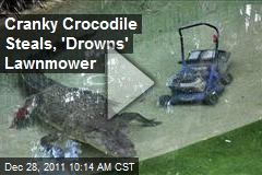 Cranky Crocodile Steals, &#39;Drowns&#39; Lawnmower