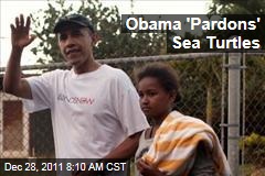 Sea Turtles 'Pardoned' by President Obama on Hawaii Vacation