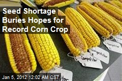 Seed Shortage Buries Hopes for Record Corn Crop