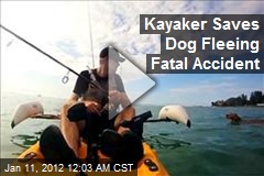 Kayaker Saves Dog Fleeing Fatal Accident