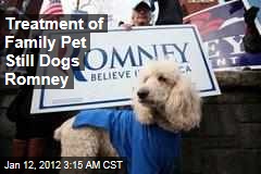 Treatment of Family Dog Seamus Dogs Mitt Romney