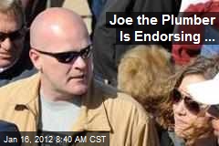 Joe the Plumber Is Endorsing ...