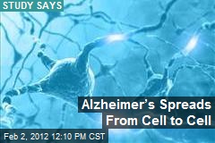 Alzheimer&rsquo;s Spreads From Cell to Cell