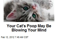 Your Cat&#39;s Poop May Be Blowing Your Mind