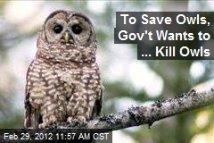 To Save Owls, Gov&#39;t Wants to ... Kill Owls