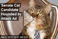 Senate Cat Candidate Hounded by Attack Ad