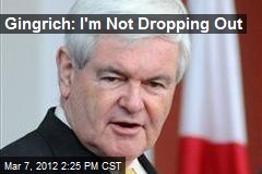 Gingrich: I&#39;m Not Dropping Out