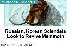 Russian, Korean Scientists Look to Revive Mammoth