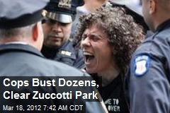 Cops Bust Dozens, Clear Zuccotti Park