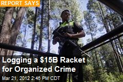 Logging a $15B Racket for Organized Crime