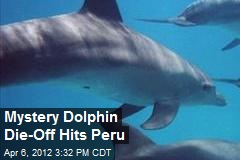 Mystery Dolphin Die-Off Hits Peru