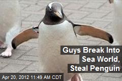 Guys Break Into Sea World, Steal Penguin