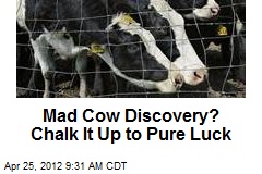 Mad Cow Discovery? Chalk It Up to Pure Luck