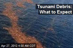 Tsunami Debris: What to Expect
