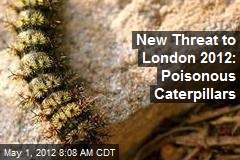 New Threat to London 2012: Poisonous Caterpillars