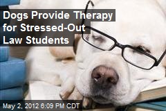 Dogs Provide Therapy for Stressed-Out Law Students